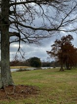 Affordable Landscape City Park New Orleans