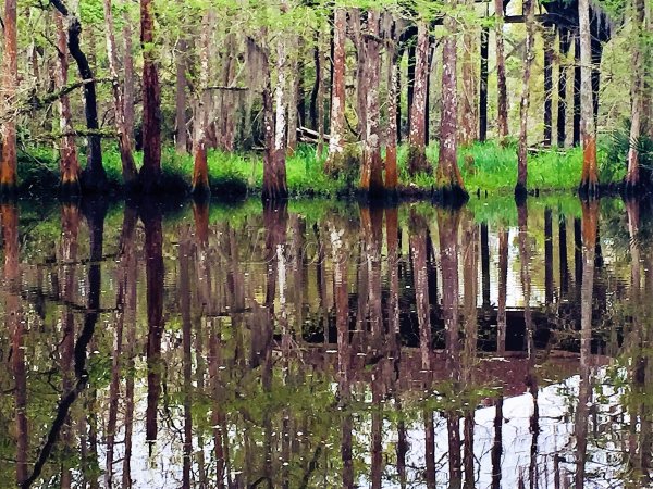 Beautiful Reflective Lake img_9082